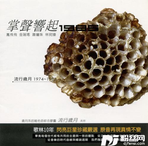 温馨的世界