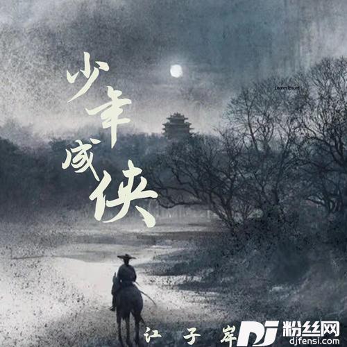 少年成侠