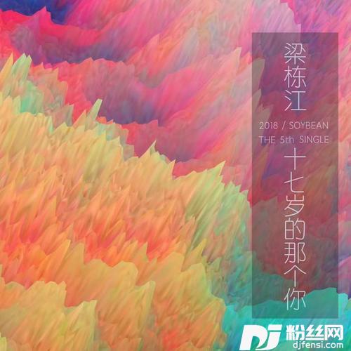 十七岁的那个你