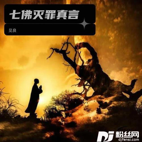 七佛灭罪真言cover:印能法师