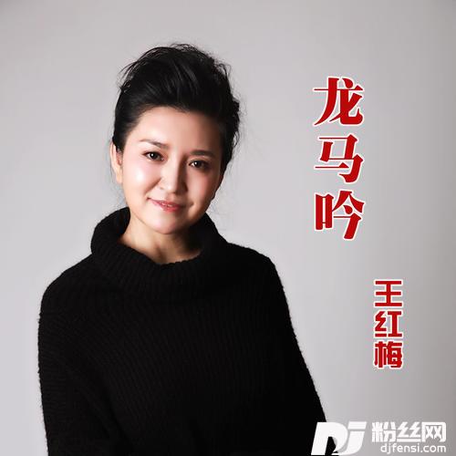 龙马吟