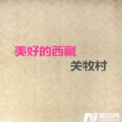 月光下的凤尾竹