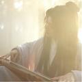 将进酒-五色石南叶