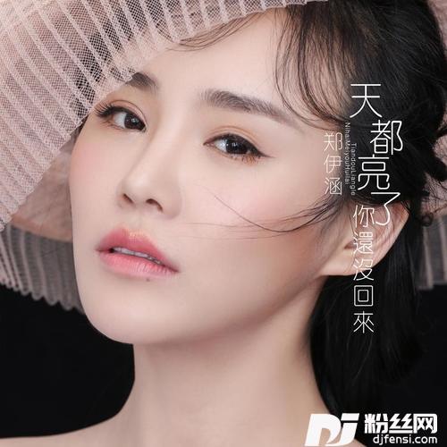 天都亮了你还没回来的专辑
