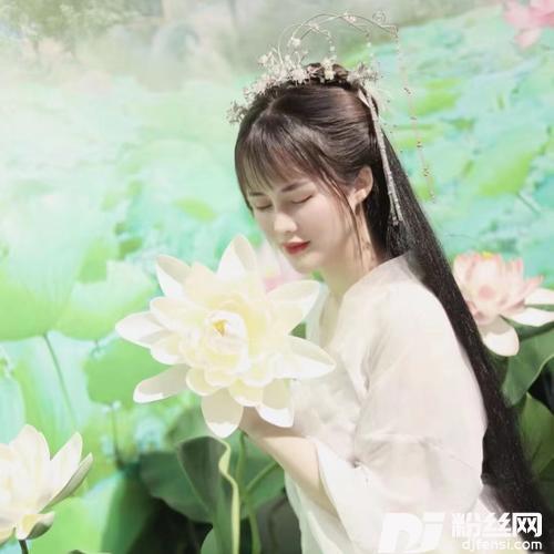 荷塘月色（抖音版）cover:凤凰传奇的专辑