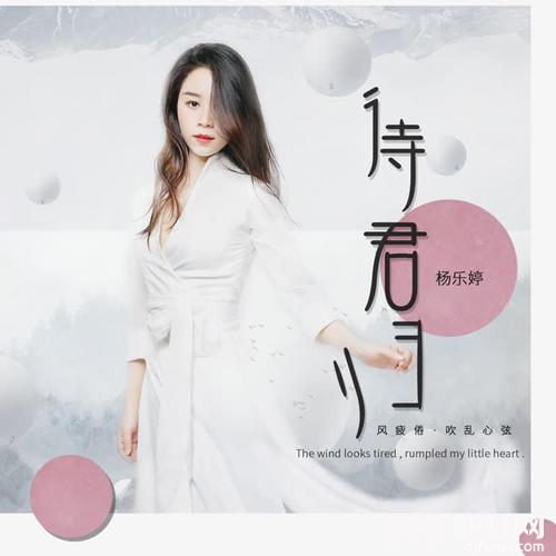 待君归的专辑