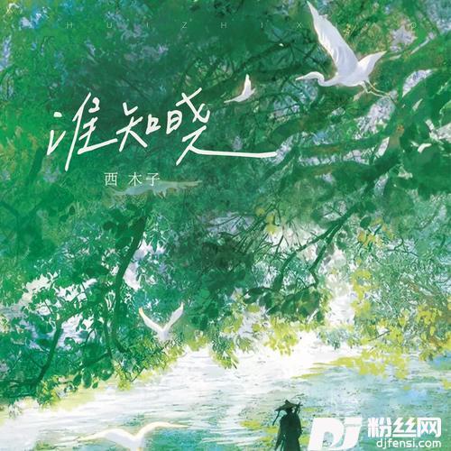 谁知晓（DJ小鑫版）