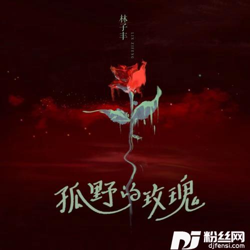 孤野的玫瑰