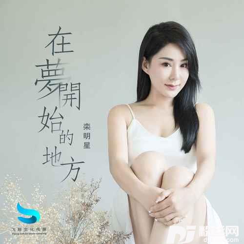 在梦开始的地方DJ阿远版