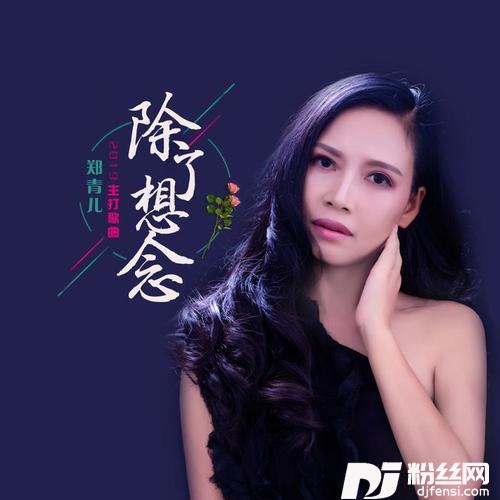 除了想念DJ何鹏版的专辑