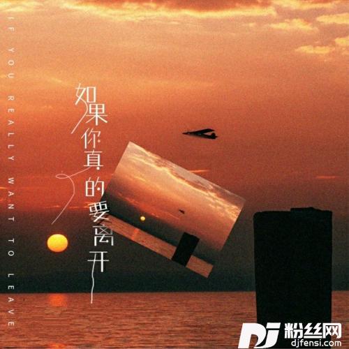 如果你真的要离开cover:DJ小鱼儿