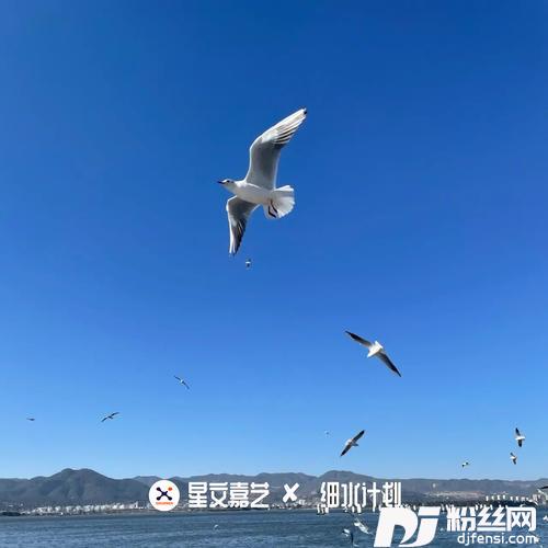 NormalNoMore的专辑