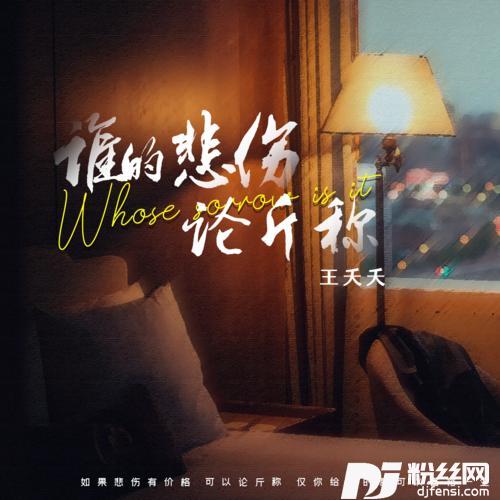 谁的悲伤论斤称DJ彭锐版