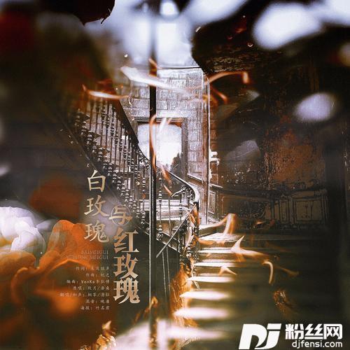 白玫瑰与红玫瑰cover:溱桑