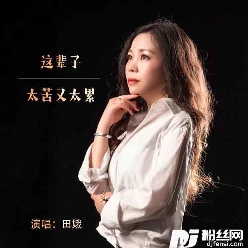 这辈子太累又太苦DJ默涵版