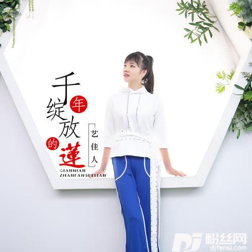 千年绽放的莲