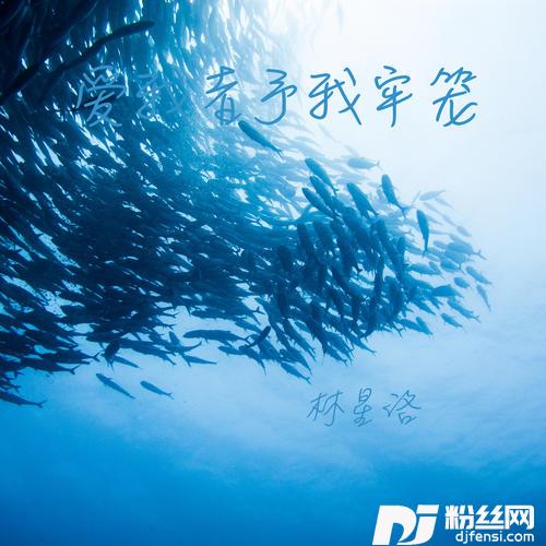 爱我者予我牢笼