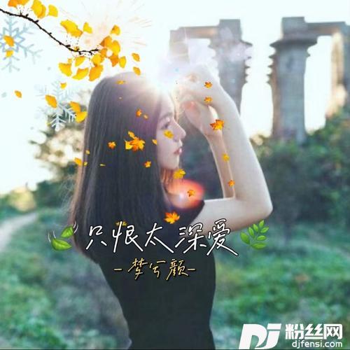 只恨太深爱（DJ可乐版）