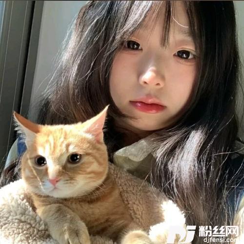 香港的爱cover:小虎队香港