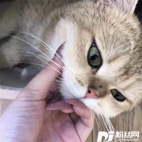 三十岁了压力大，四十岁了不要怕的专辑