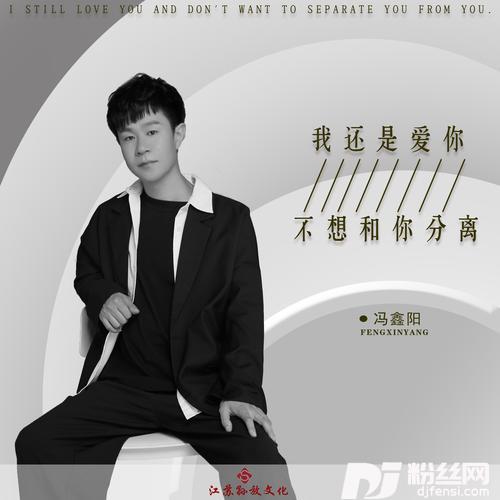 我还是爱你不想和你分离（DJ版）的专辑