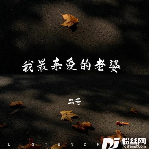 我最亲爱的老婆的专辑