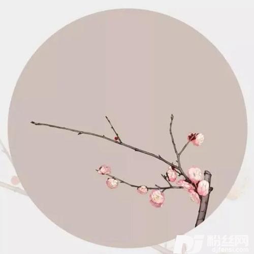 梅香如故cover:毛不易|周深的专辑