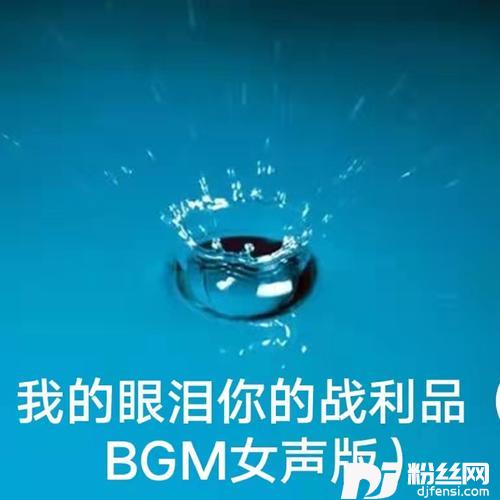 我的眼泪你的战利品BGM女声版的专辑