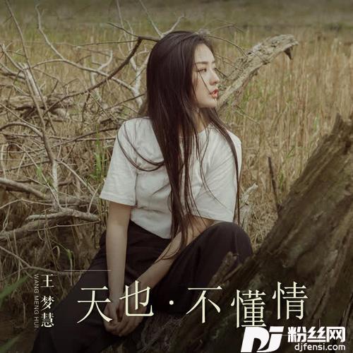 天也不懂情正式版的专辑