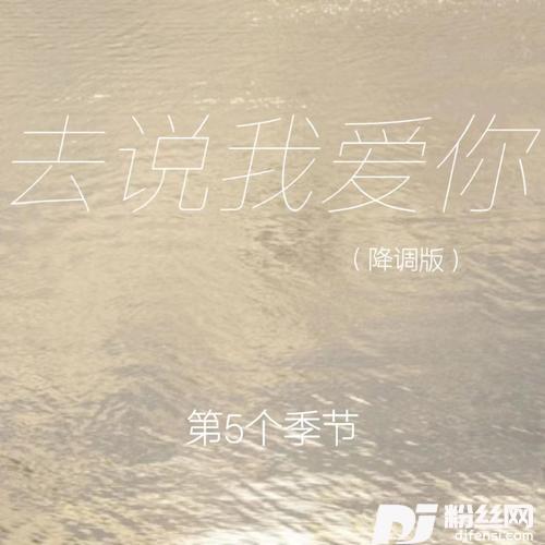 去说我爱你降调版的专辑