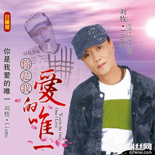 新一生一世爱能几回的专辑