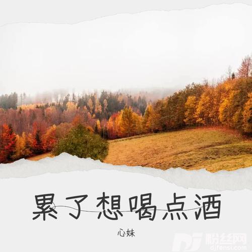 累了也想喝点酒cover:王阿忠