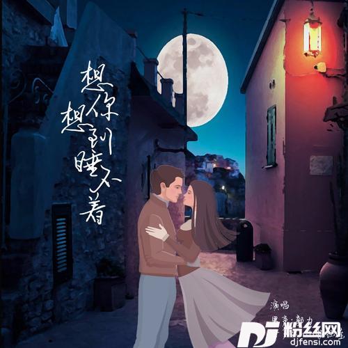 想你想到睡不着（对唱版）