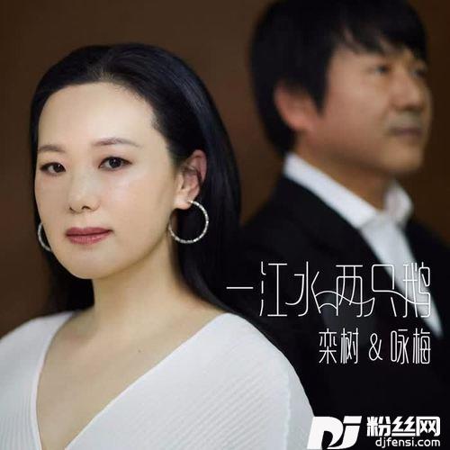 一江水两只鹅的专辑