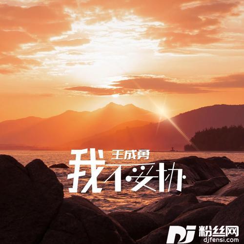 我不妥协