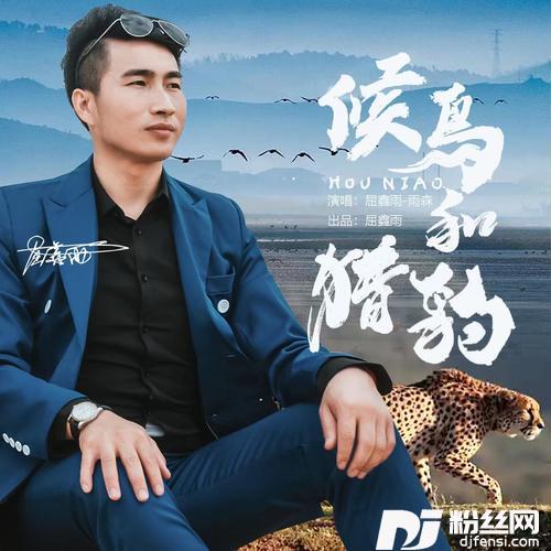 不如从没见过的专辑