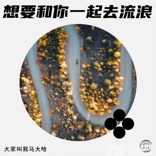 想要和你一起去流浪