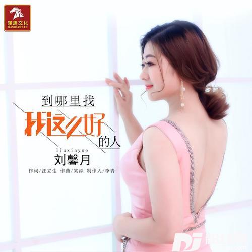到哪里找我这么好的人DJ版