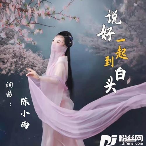 说好一起到白头