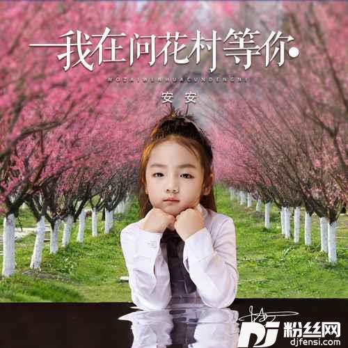 我在问花村等你曳步舞版