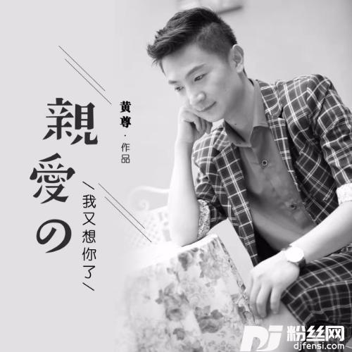 亲爱的我又想你了DJ何鹏Remix的专辑