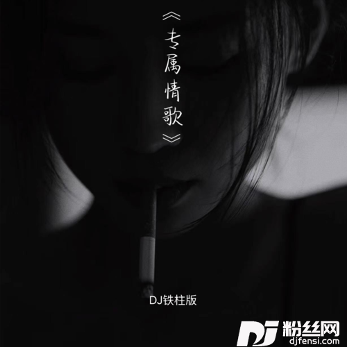 专属情歌DJ铁柱版