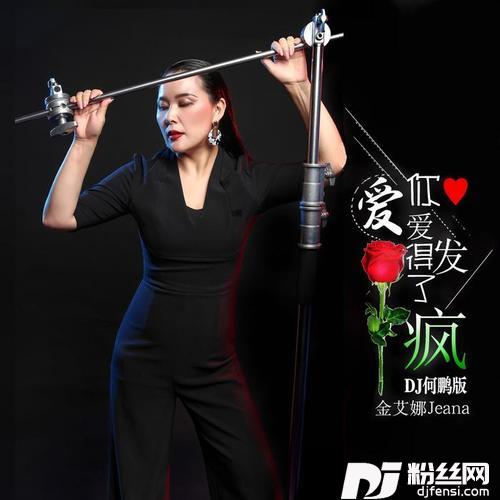 爱你爱得发了疯DJ何鹏版