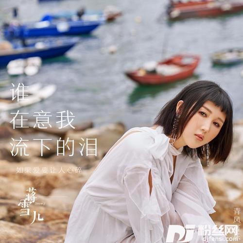 谁在意我流下的泪抖音版的专辑