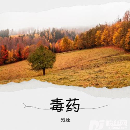 哭了没人哄醉了没人疼（DJ版）