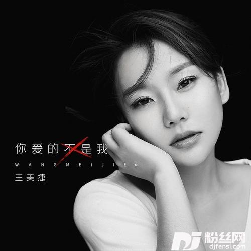 你爱的不是我的专辑