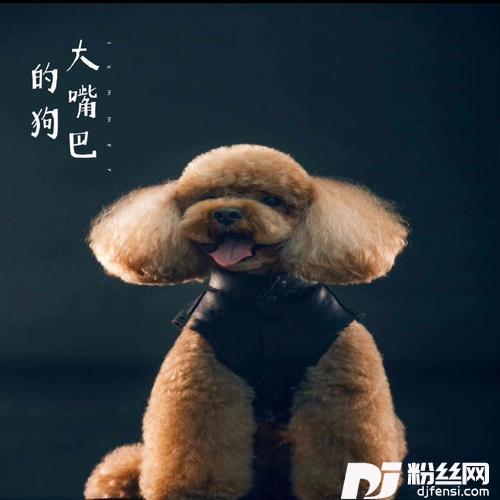 大嘴巴的狗