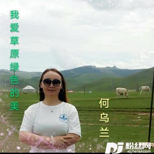 我爱草原绿色的美的专辑