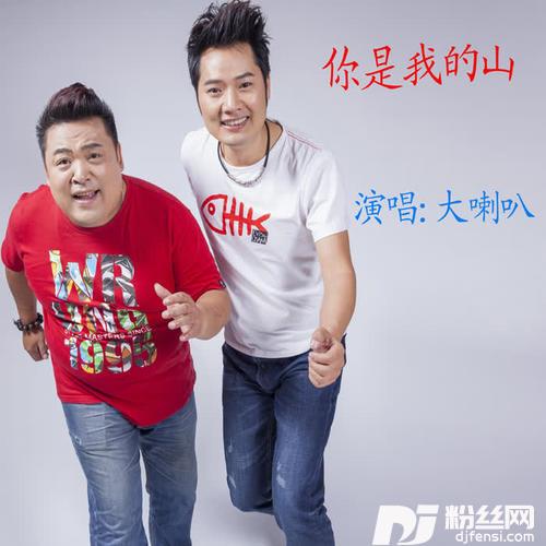 你是我的山