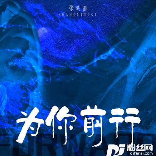 为你前行的专辑